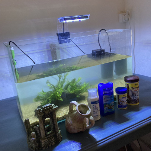 Vends aquarium et accessoires divers