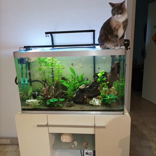Aquarium Fluval Osaka 260 Blanc