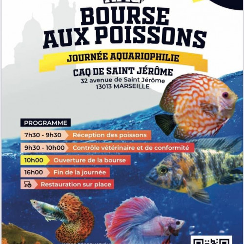 Bourse aux poissons