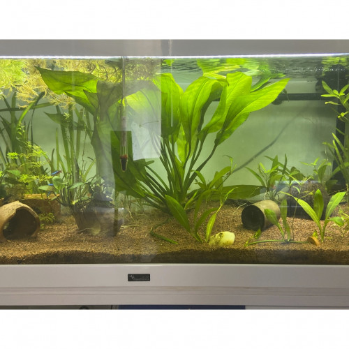 Aquarium 160 L tout équipé  Aquatlantis Led avec filtre interne Biobox 2 et rampe Led