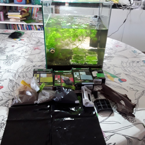 aquarium dennerle 30 l + filtre + lampe + sol + plantes+ mousses+ racine et cholla