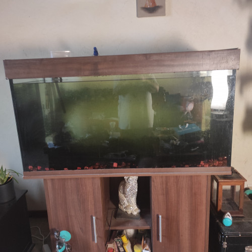 aquarium 400l + meuble 2 pompes 2 chauffages