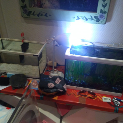 2 Aquariums de 17L