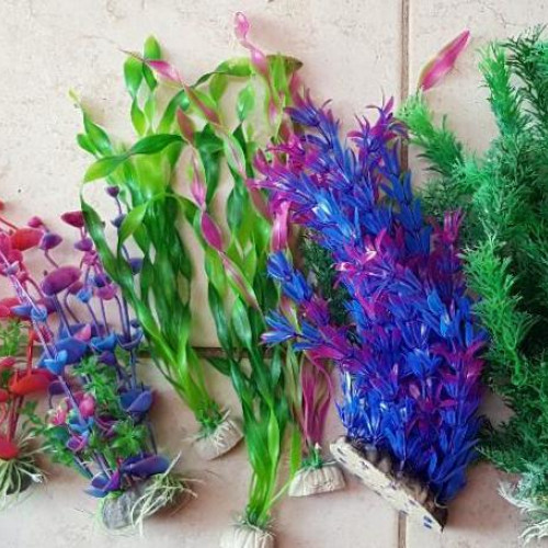 Vends pour cause arrêt aquariophilie un aquarium JUWEL Rekord 800 110 L (IdéalL débutant) avec tout son équipement et accessoires