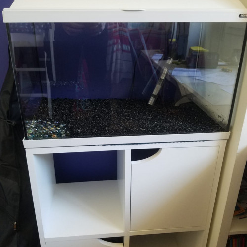 Aquarium 63l + meuble + equipements