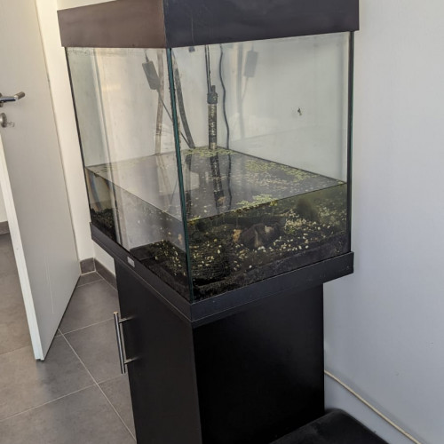 Aquarium Juwel Lido 120 + pompe externe+ meuble+ éclairage+ chauffage