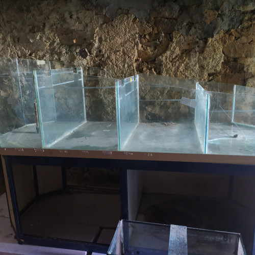 Cuve animalerie 720l