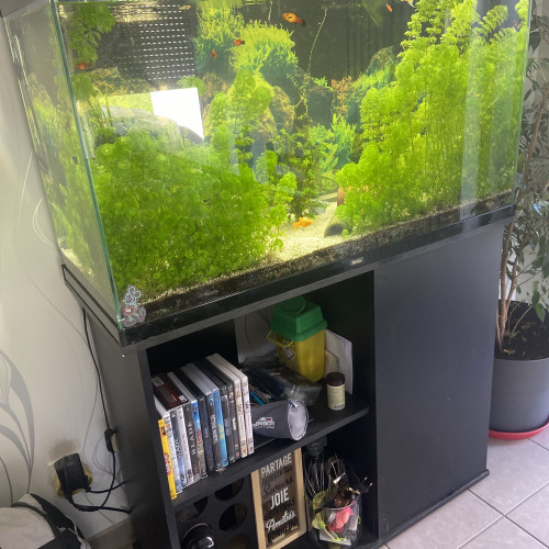 Aquarium 197L complet