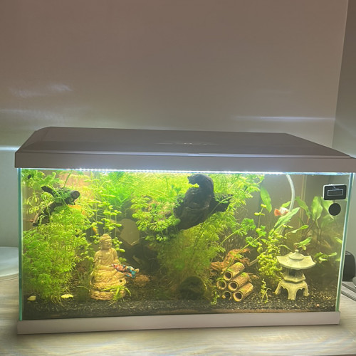 Aquarium 60 litres Ciano