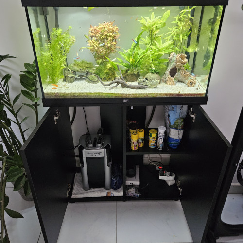 Vend Aquarium Juwel rio 125 + meuble + filtre jbl cristaprofi e902