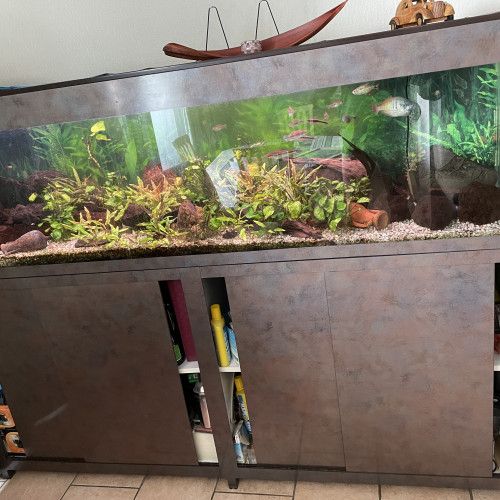 Aquarium 600l