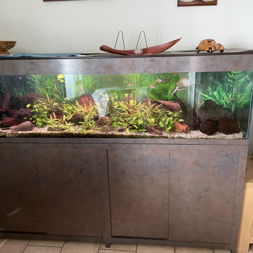 Aquarium 600l