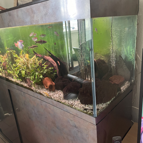 Aquarium 600l