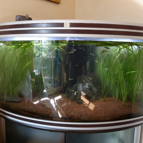 Aquarium de 350 L à donner