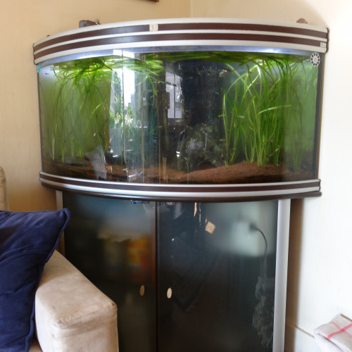 Aquarium de 350 L à donner