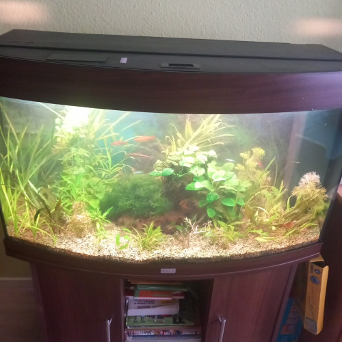 Aquarium 180litre