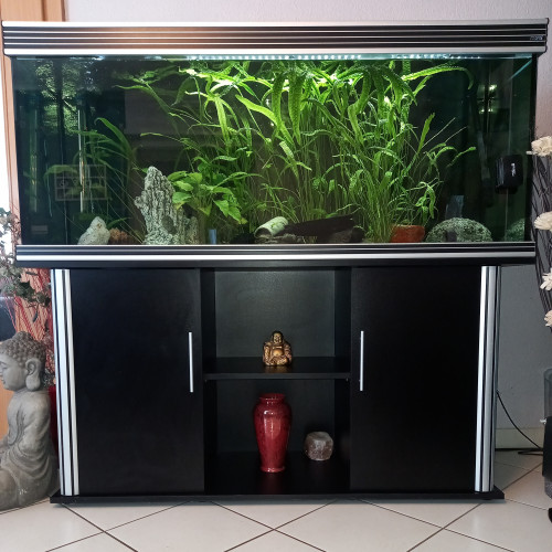Aquarium avec meuble complet