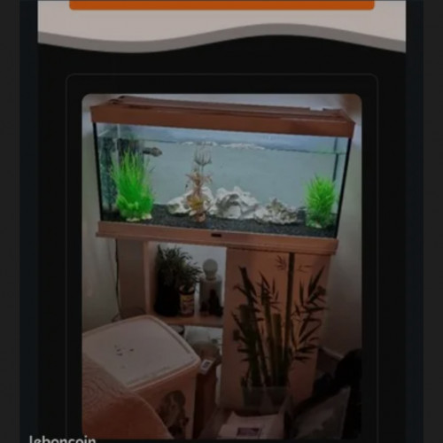 vend aquarium et meuble.inclus