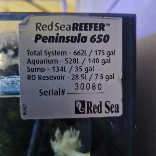 Aquarium Red Sea Peninsula 650 entièrement équipé avec pierres vivantes