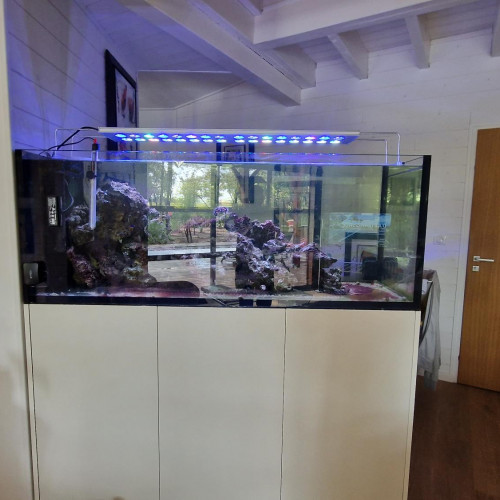 Aquarium Red Sea Peninsula 650 entièrement équipé avec pierres vivantes
