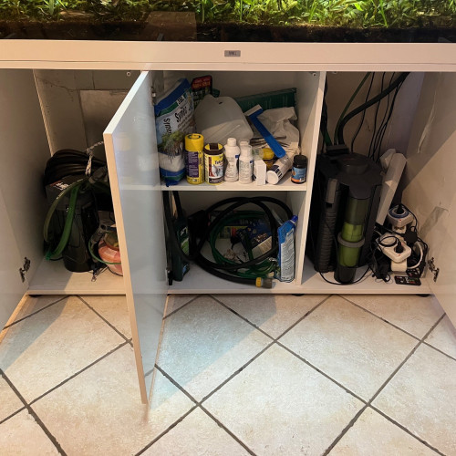 Aquarium complet excellent état et de grande qualité vendu avec poissons mélanotaénia