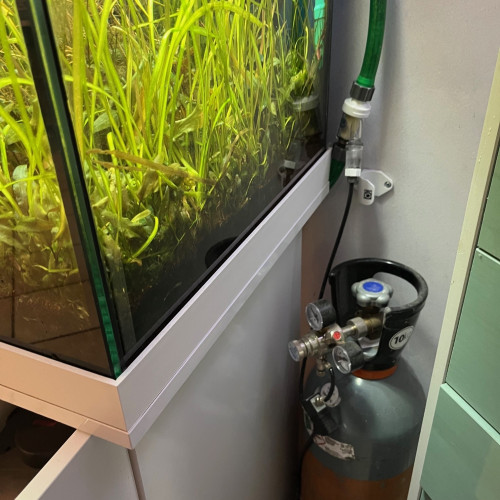 Aquarium complet excellent état et de grande qualité vendu avec poissons mélanotaénia