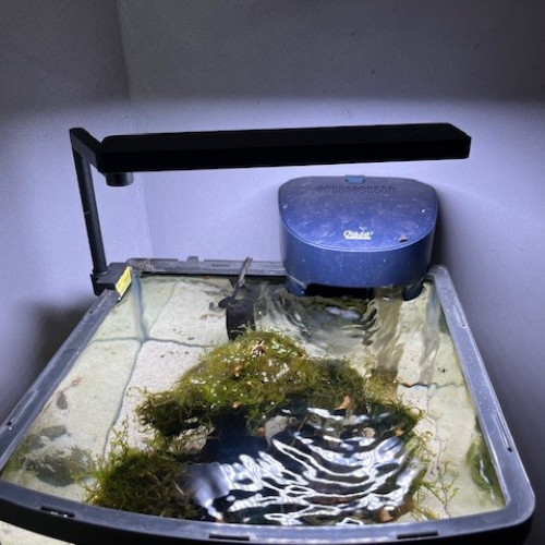 Aquarium 20 litres complet avec décor (sans poissons ni crevettes)