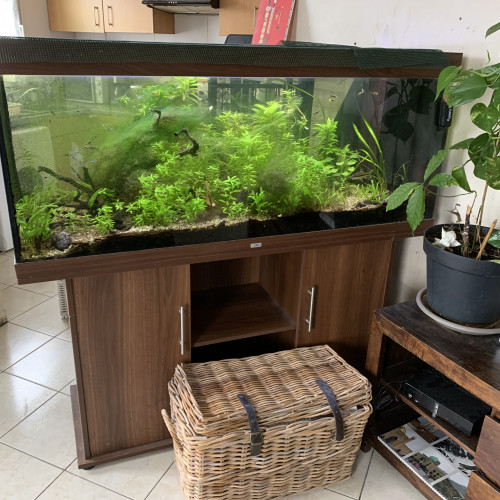 Donne Aquarium 450 l avec ses poissons