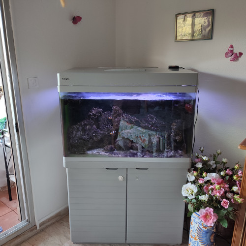 Vends aquarium rédsea 250 l d'oocasion