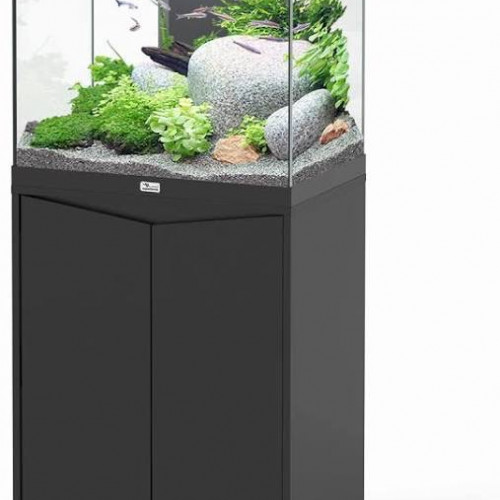 aquarium complet