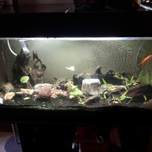 Aquarium 400 litres avec meuble, décor et accessoires