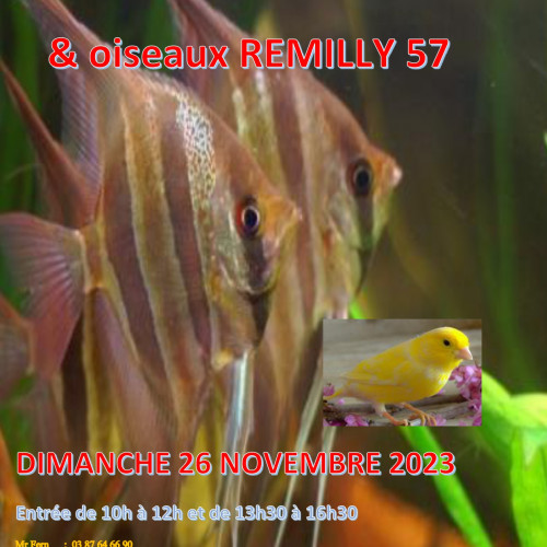 BOURSE AUX POISSONS REMILLY DIMANCHE 26 NOVEMBRE 2023