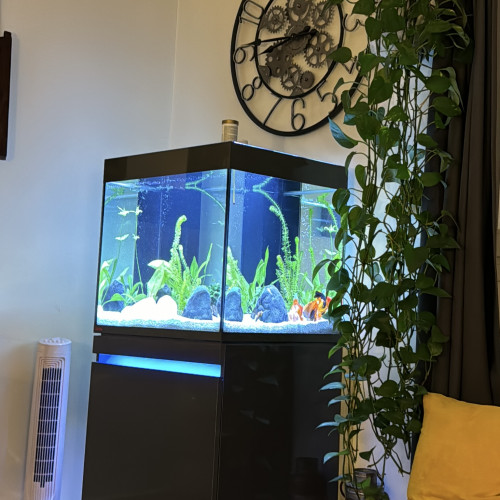 Aquarium tout équipé à vendre