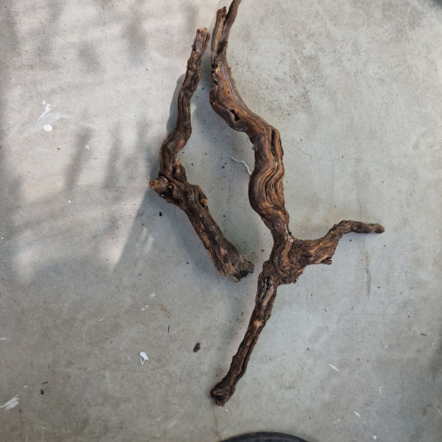 Racine pied de vigne pour aquarium, terrarium