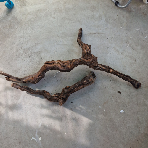 Racine pied de vigne pour aquarium, terrarium