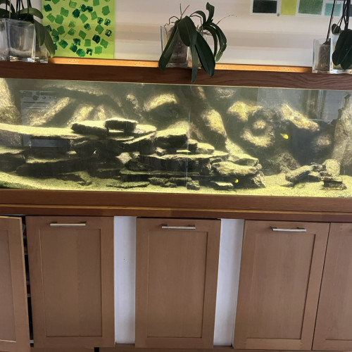 Aquarium 600l