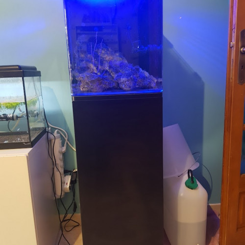 Aquarium eau de mer 60 L complet