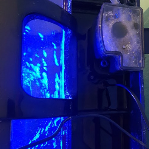 Aquarium eau de mer 60 L complet