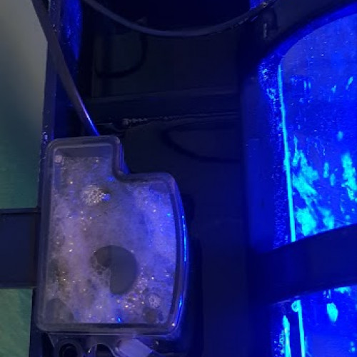 Aquarium eau de mer 60 L complet
