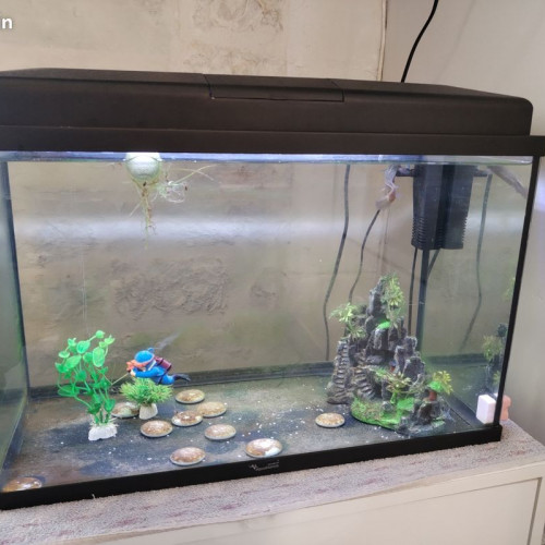 Aquarium avec led 50l