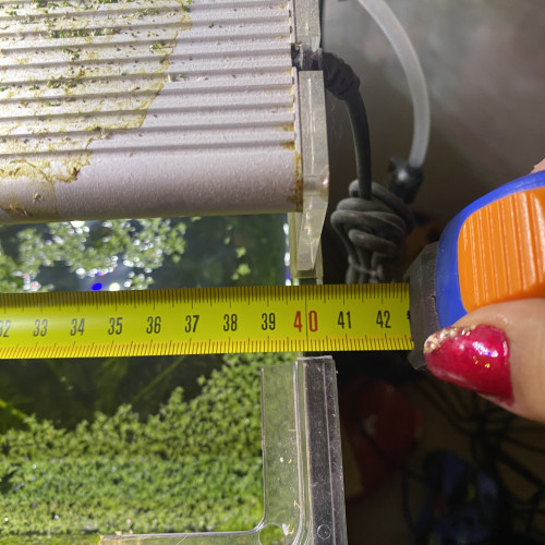 Aquarium de environs 30l avec deux bords arrondi