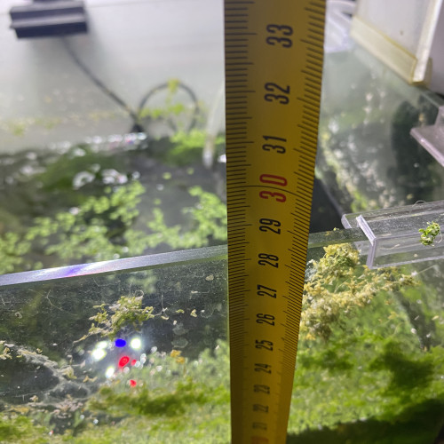 Aquarium de environs 30l avec deux bords arrondi