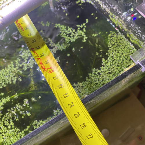 Aquarium de environs 30l avec deux bords arrondi