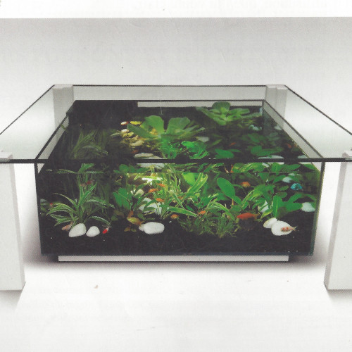 AQUARIUM  BORA BORA  TABLE BASSE DE SALON