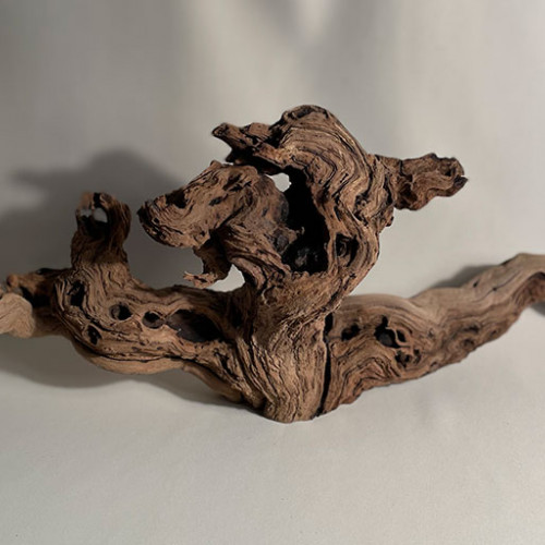 Branche - cep de vigne : sablé et étuvé - l : 53cm