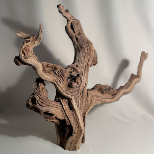 Branche - cep de vigne : sablé et étuvé - H : 46cm