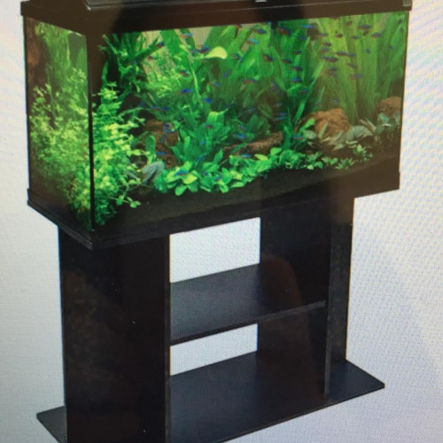 Aquarium 100 litres avec meuble
