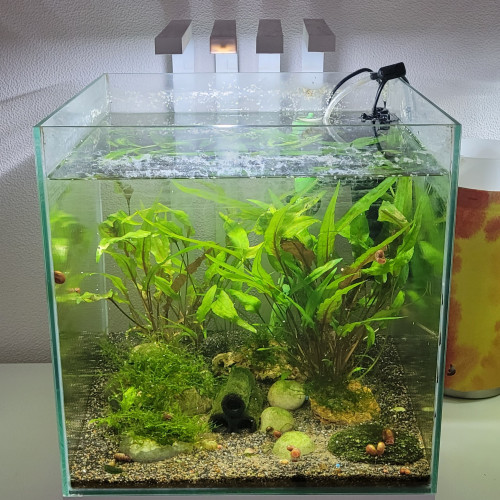 Aquarium Nano Nexus 22l