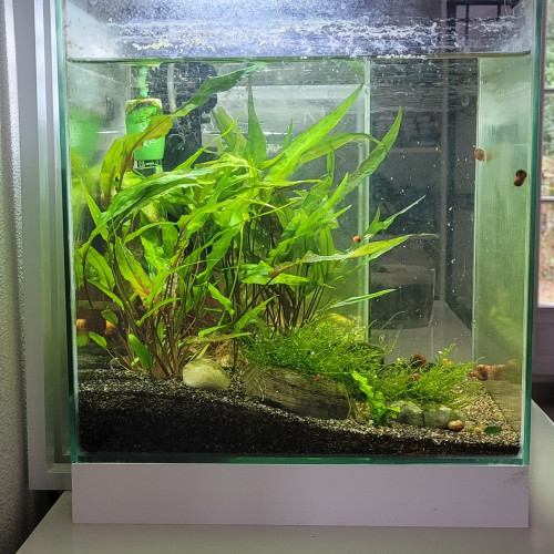 Aquarium Nano Nexus 22l