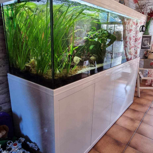 Vend aquarium et tout le matériel, plantes racines ...